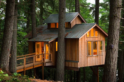 Desain Rumah Pohon