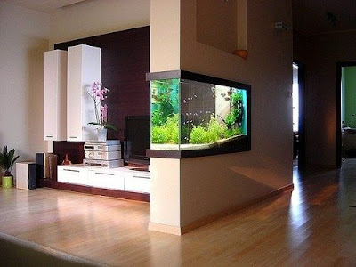 Model aquarium unik